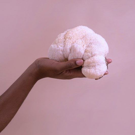 Unlocking Your Brain’s Potential with Lion’s Mane: Nature’s Cognitive Powerhouse