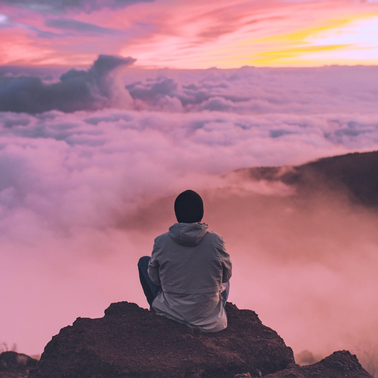 Top 10 Adaptogens for Stress Relief: Why Kanna and Mushrooms Should Be on Your Lis